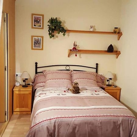Ferienwohnung Apartamento En El Centro De Camprodon Exterior foto